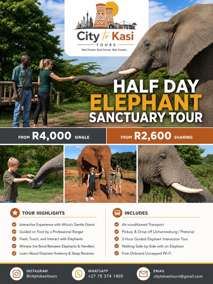 Half Day Elephant Sanctuary